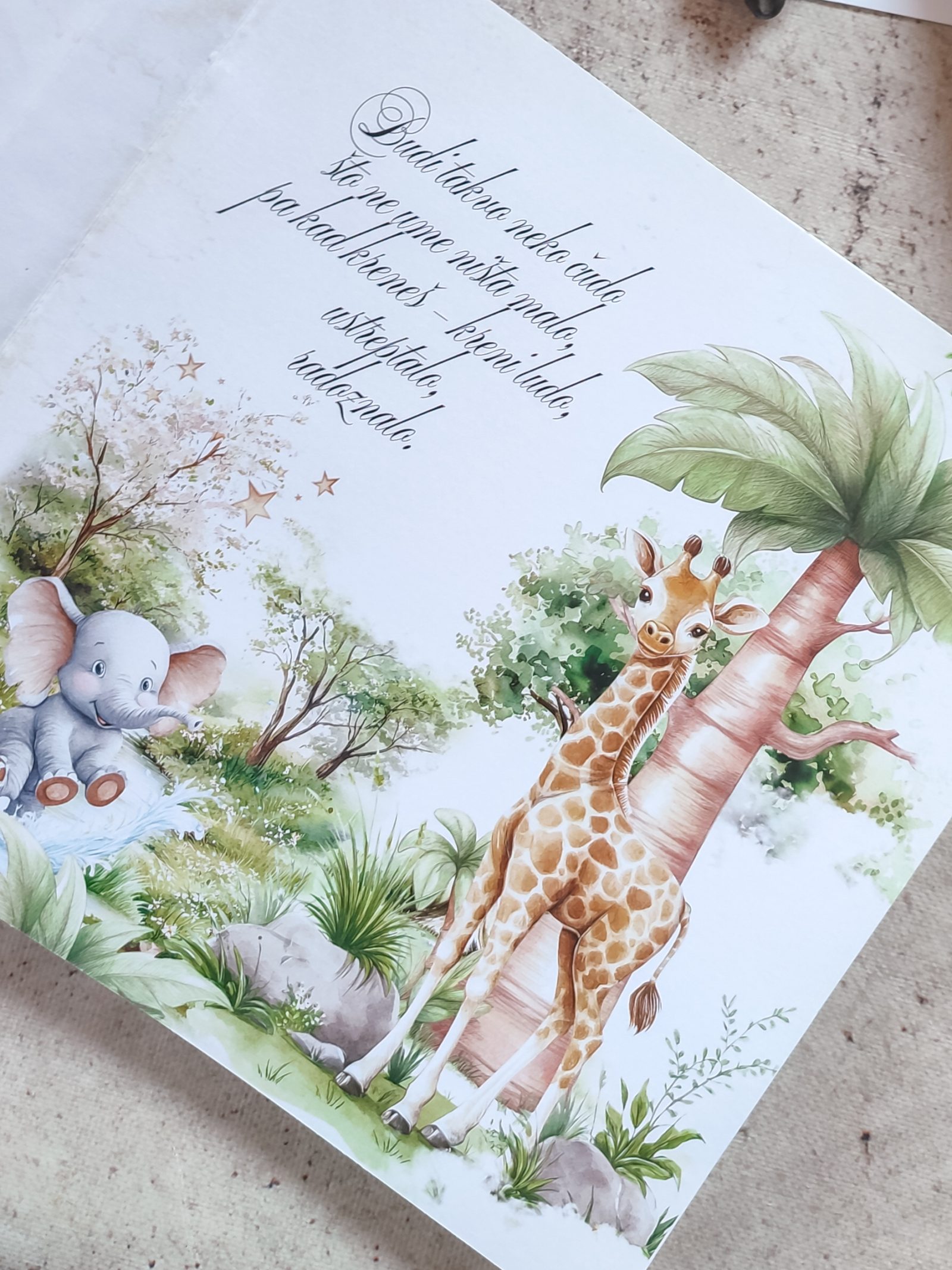 Safari – Fotografija 2