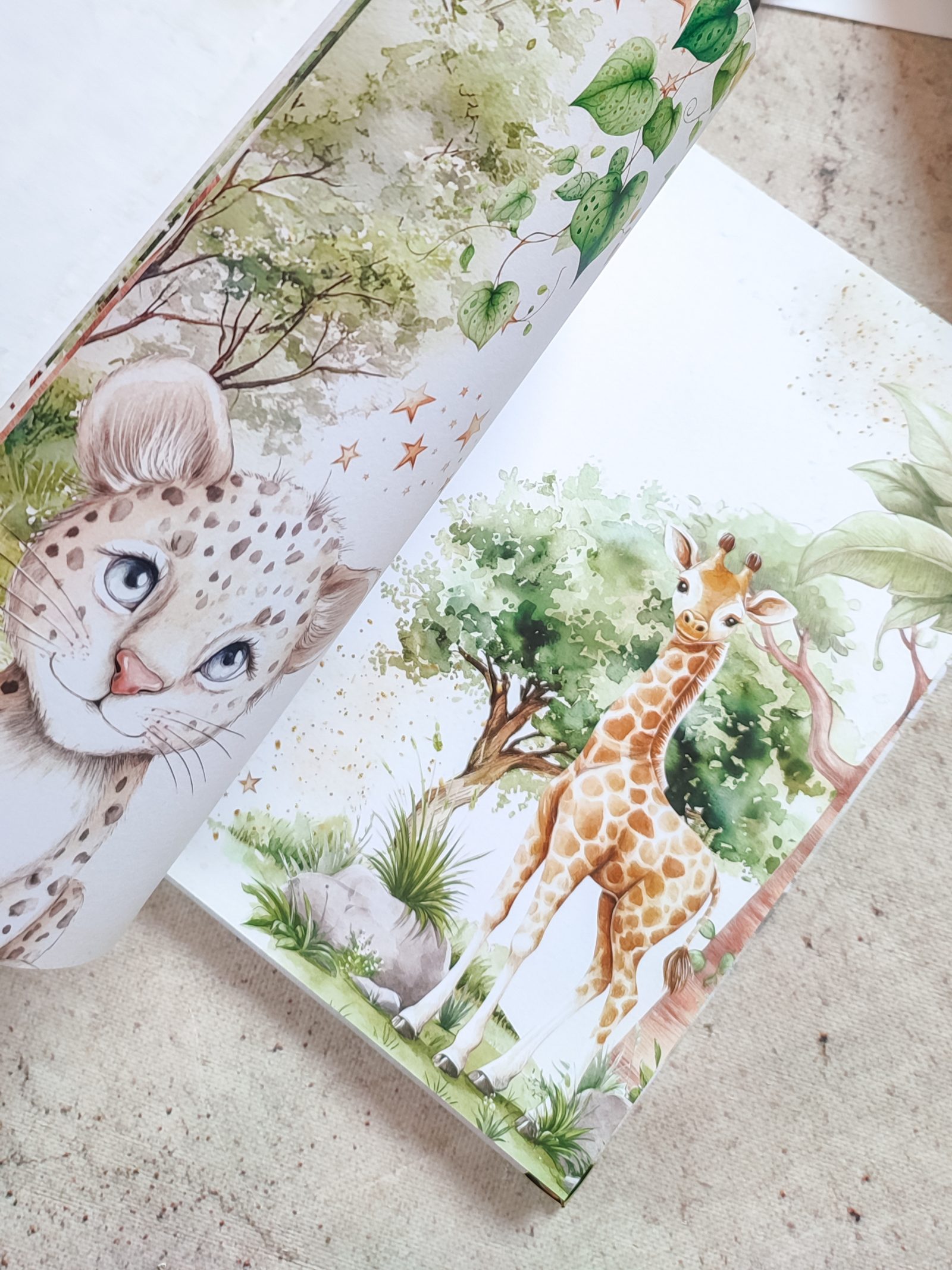 Safari – Fotografija 4
