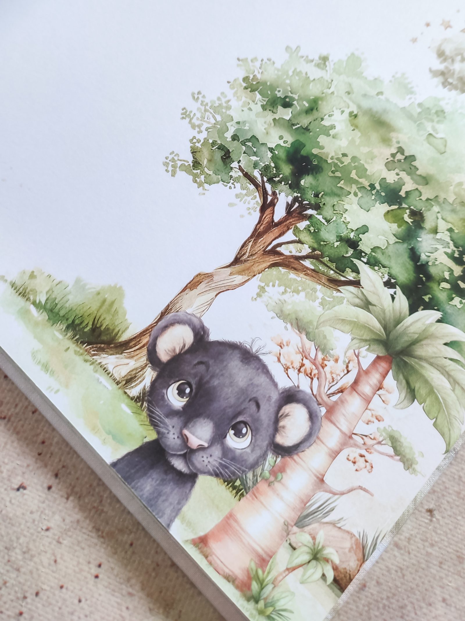 Safari – Fotografija 5