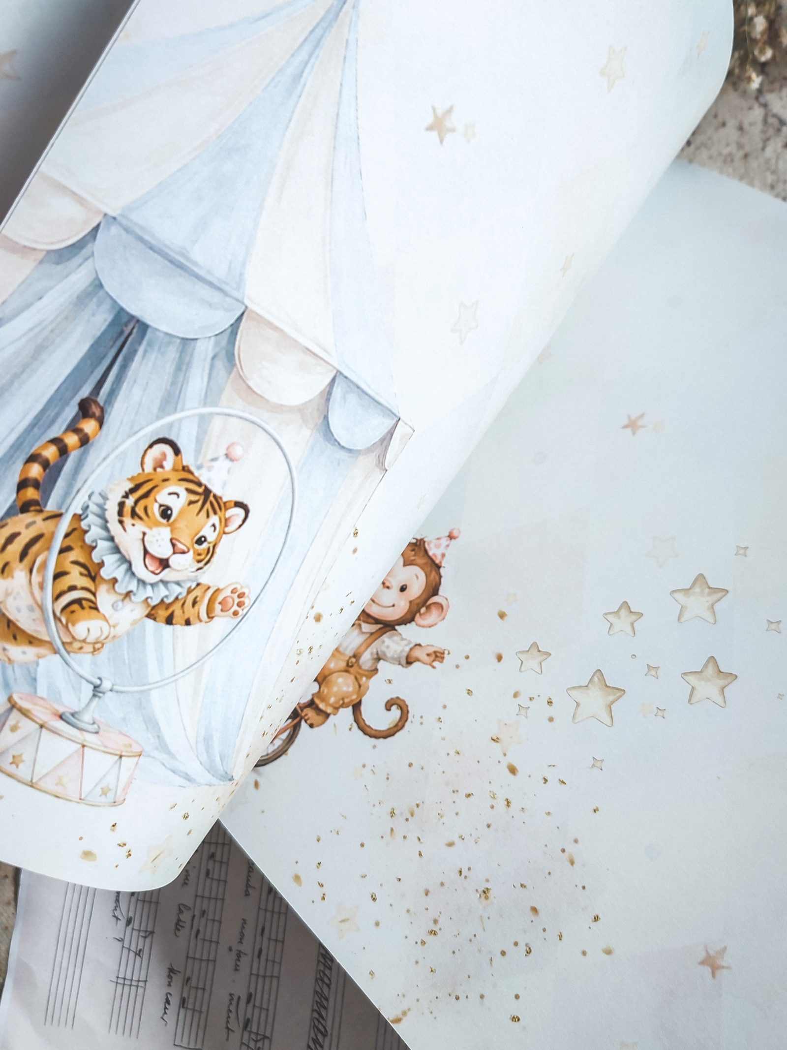 Circus – Fotografija 9