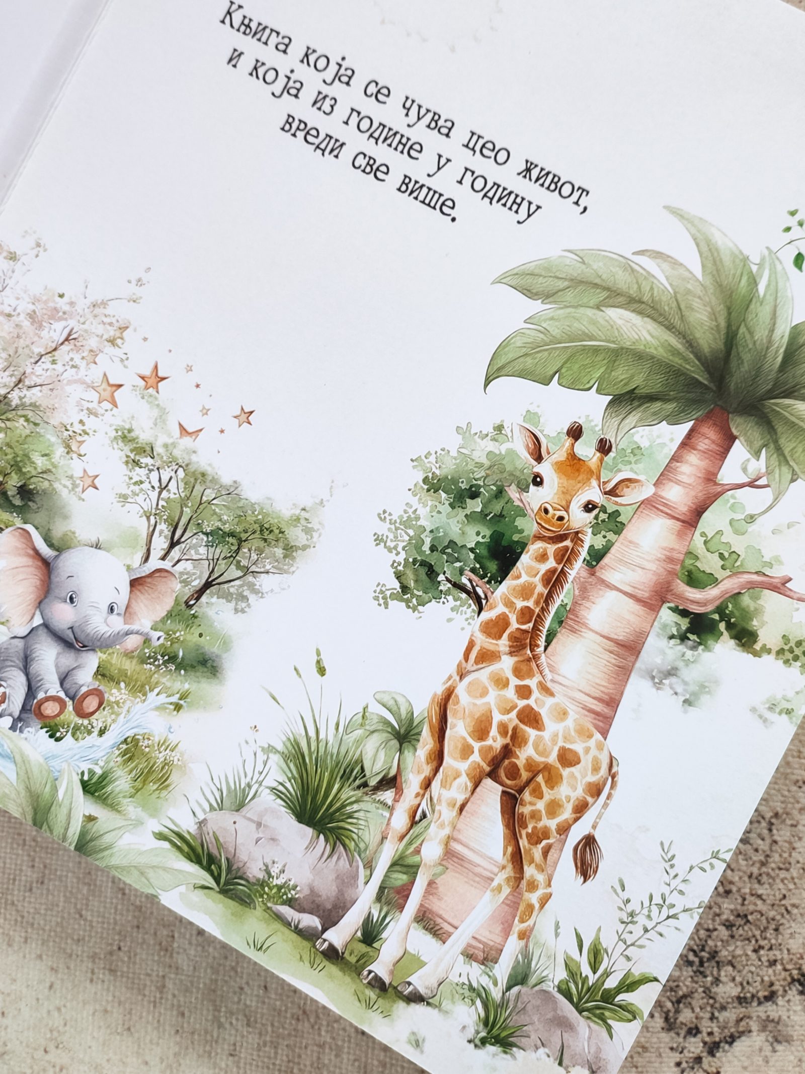 Safari – Fotografija 10