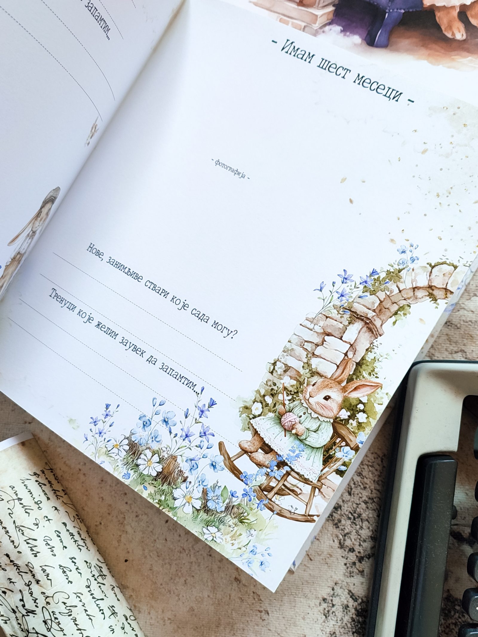 Šumska priča – Fotografija 14