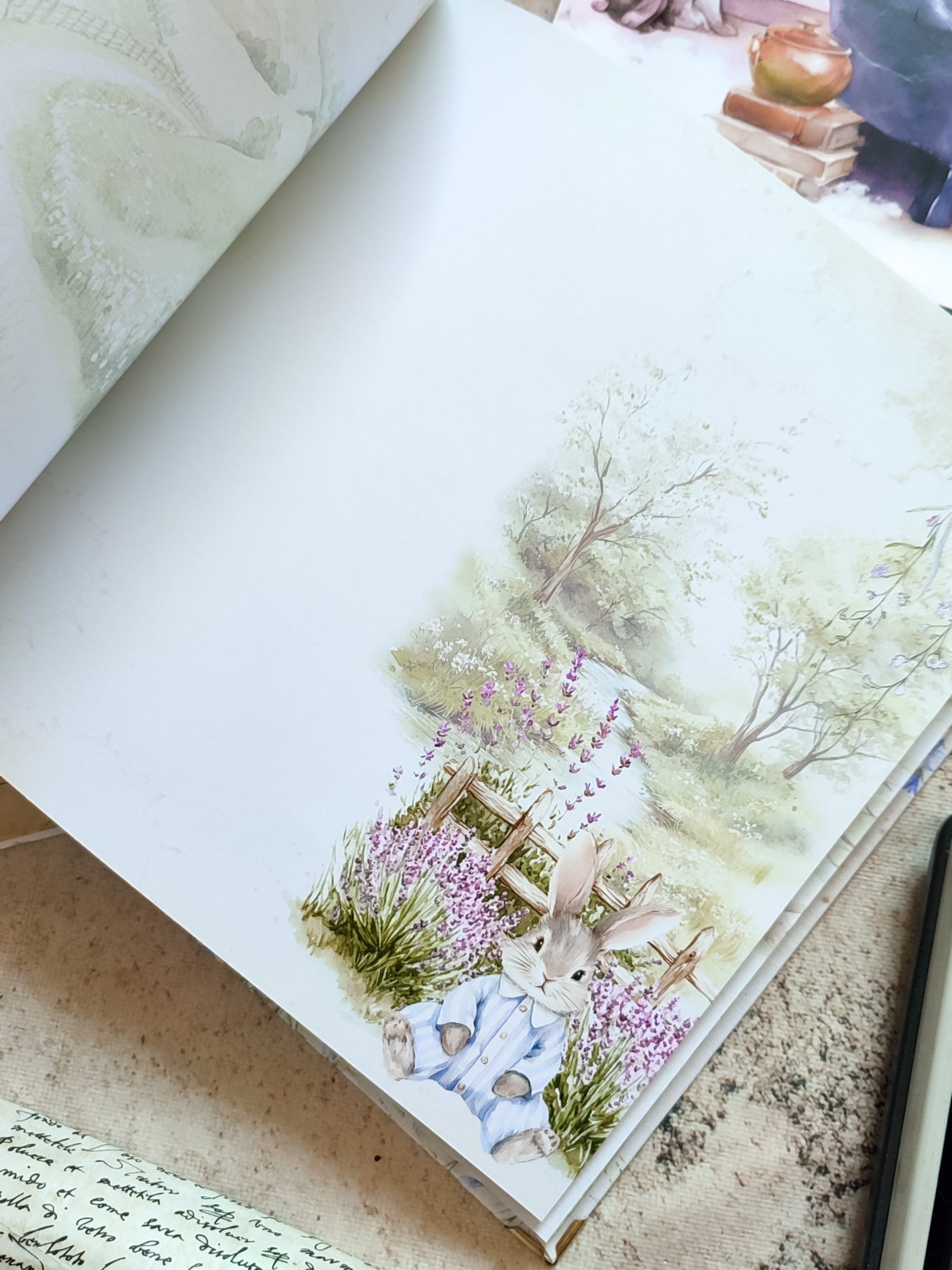 Šumska priča – Fotografija 10