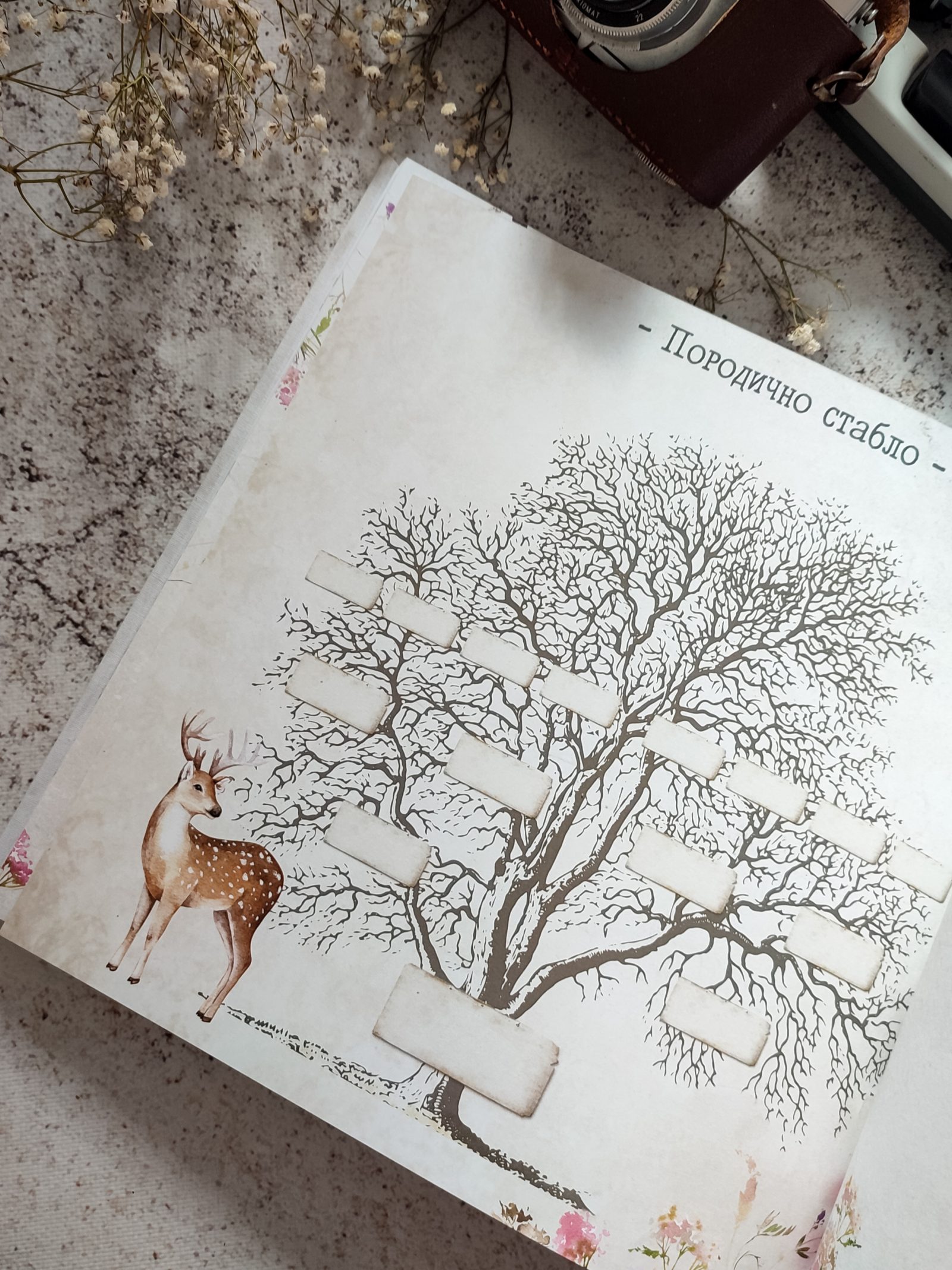 Šumske lepotice – Fotografija 10
