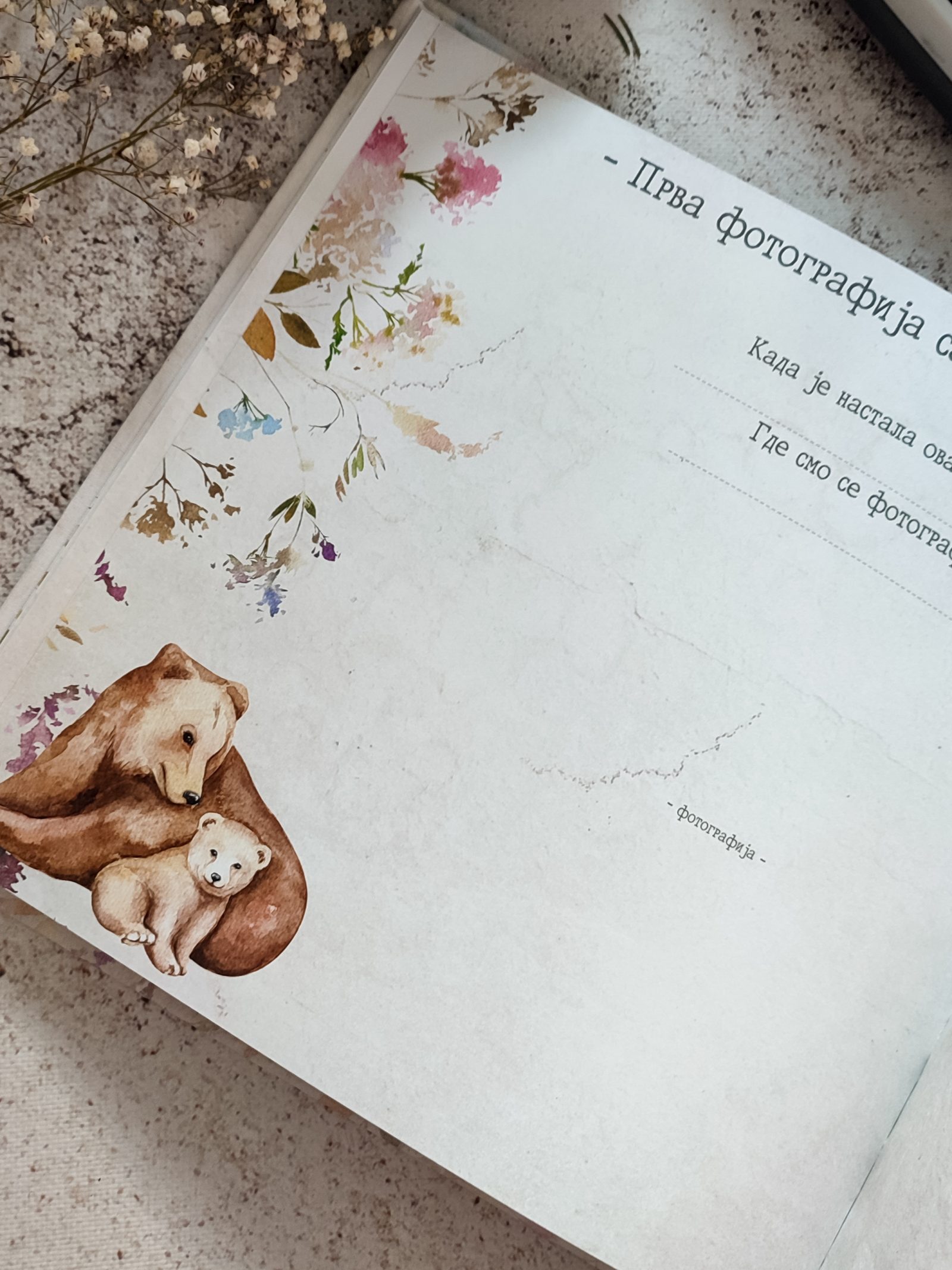 Šumske lepotice – Fotografija 11