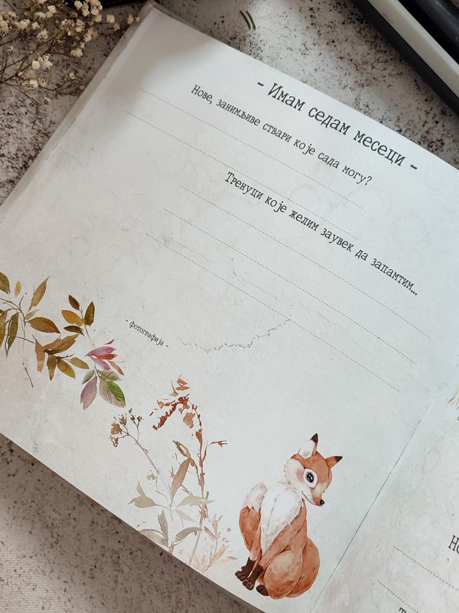 Šumske lepotice – Fotografija 12