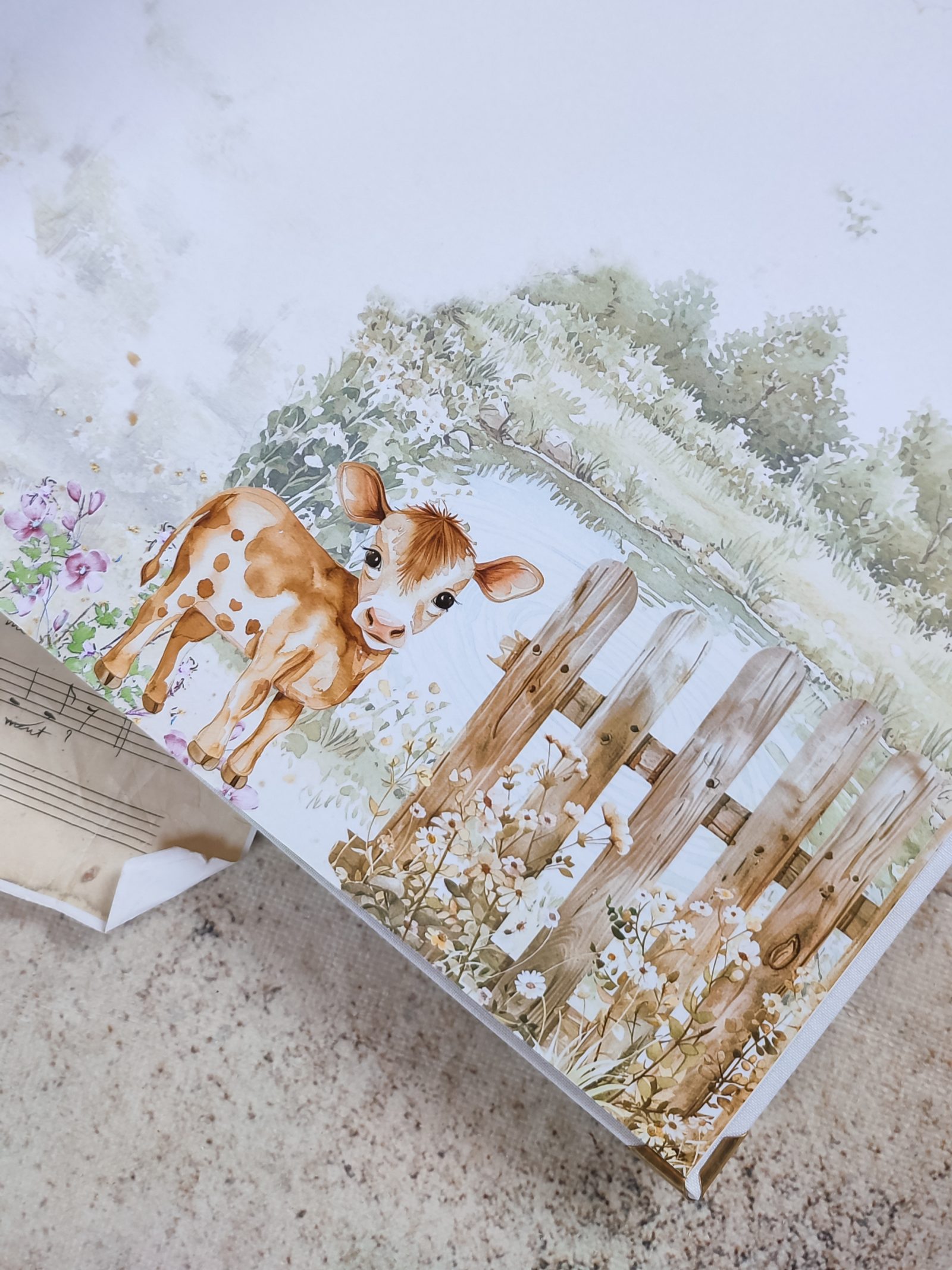 Farma – Fotografija 2