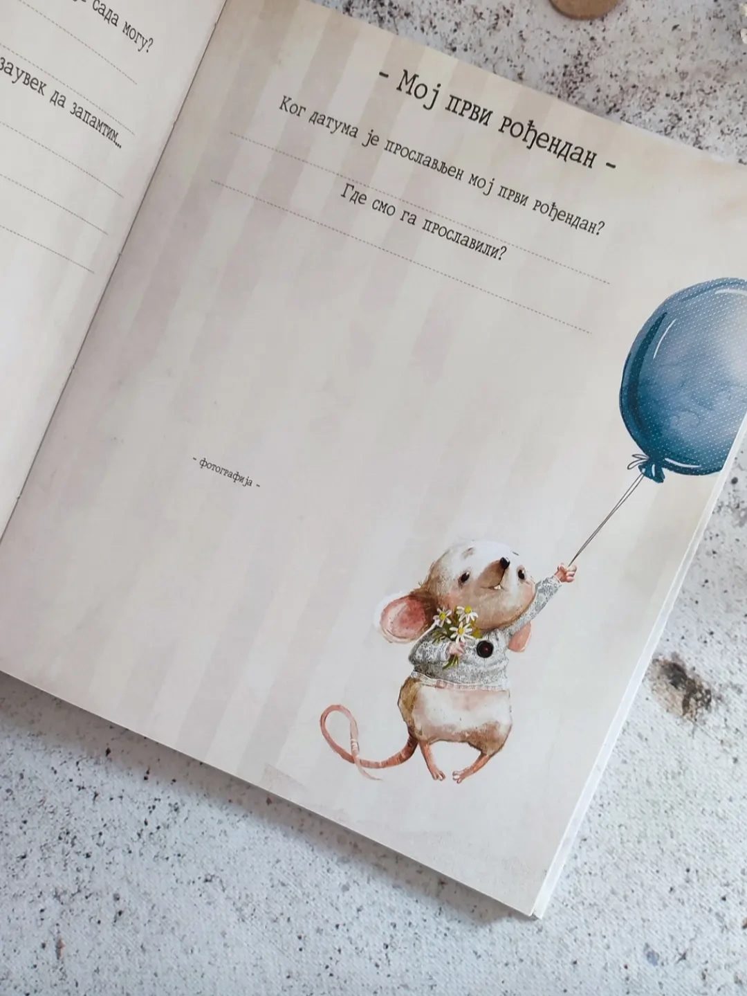 Miš – Fotografija 3