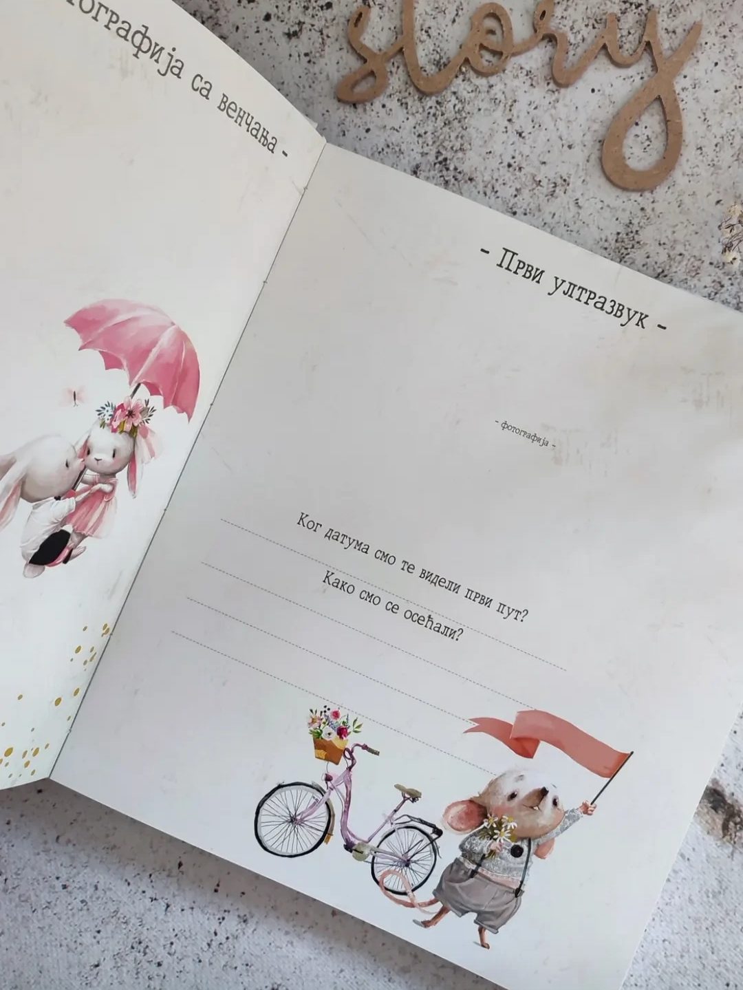 Miš – Fotografija 5