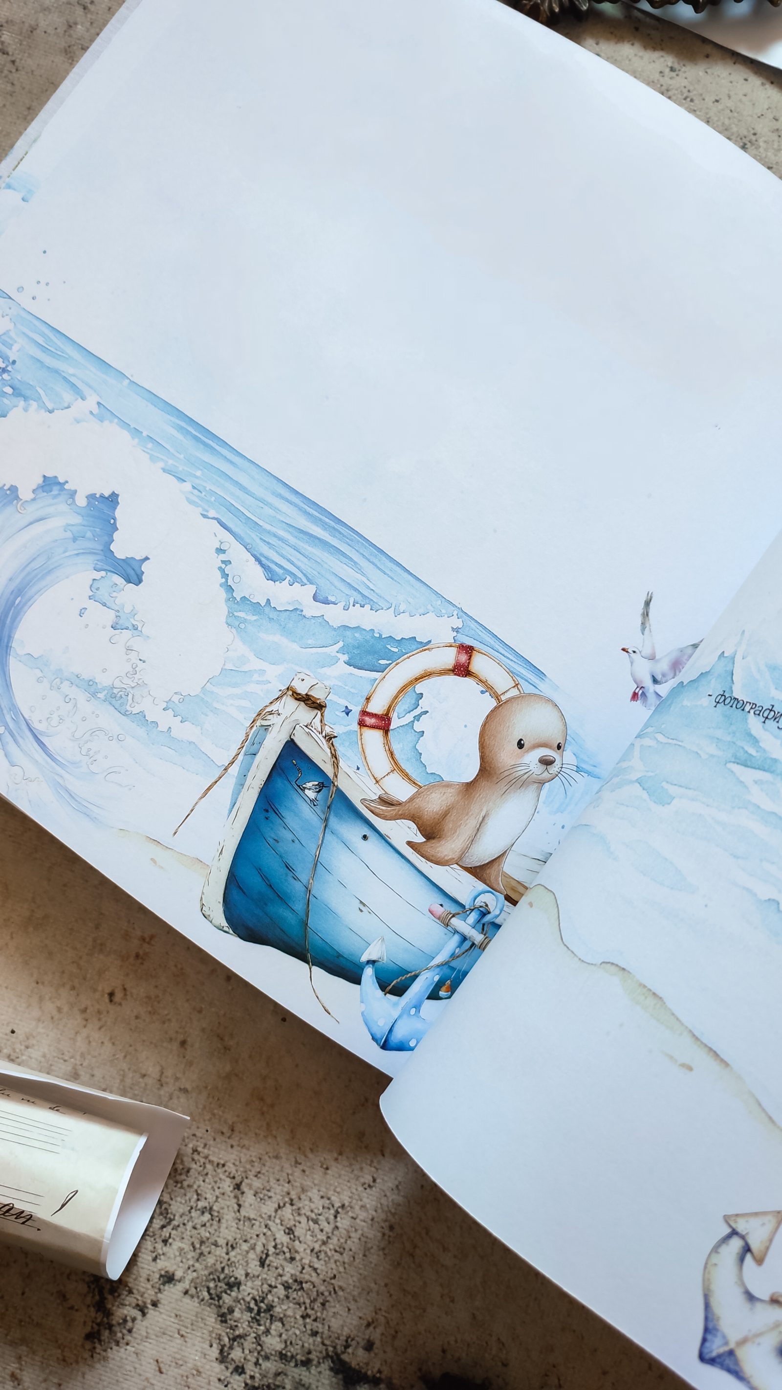 Morske avanture – Fotografija 9